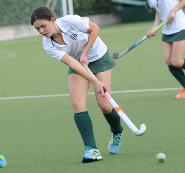 Sport image block half 620 x 580 hockey downe house