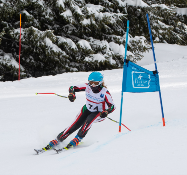 Sport image block half 620 x 580 skiing downe house