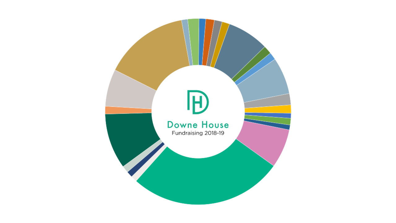 Charity Pie Charts