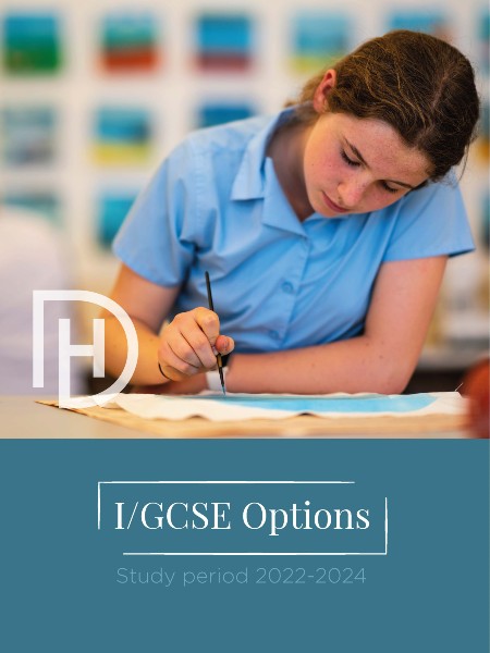 I/GCSE Options booklet cover - girls painting 